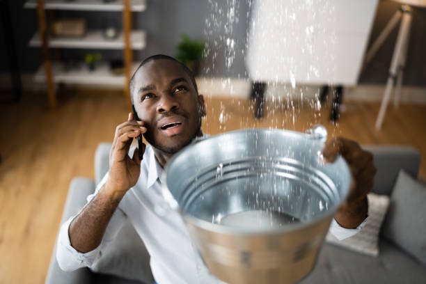 Best Professional water damage repair  in Wake Village, TX