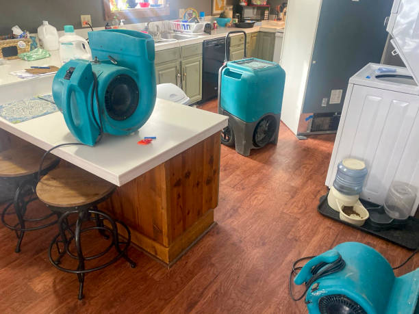 Best Residential water damage restoration  in Wake Village, TX