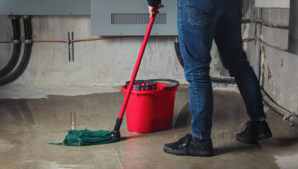 Best 24/7 water damage repair  in Wake Village, TX