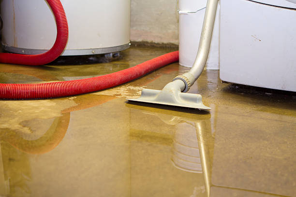 Best Water damage restoration mold remediation  in Wake Village, TX