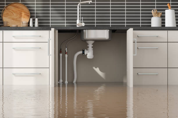 Best 24-hour water damage restoration  in Wake Village, TX