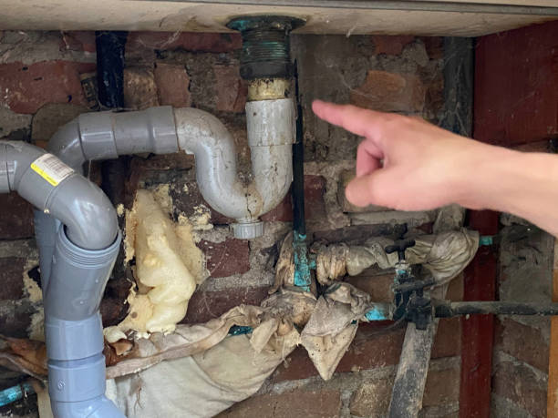 Best Water damage repair service  in Wake Village, TX
