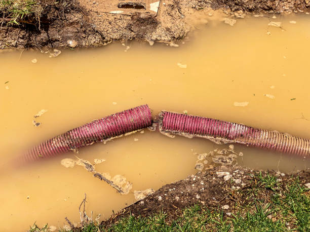 Best Emergency water damage restoration  in Wake Village, TX