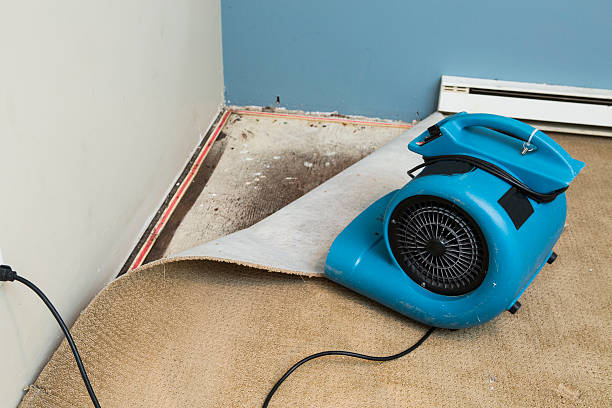 Best Basement water damage restoration  in Wake Village, TX